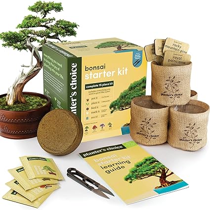 Bonsai Starter Kit