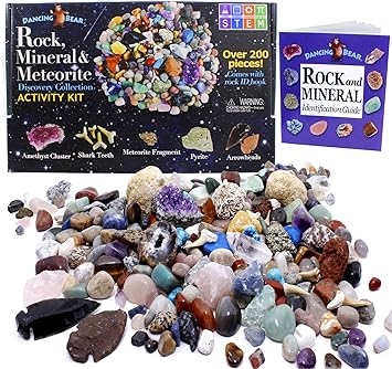 Dancing Bear Rock & Mineral Collection Activity Kit