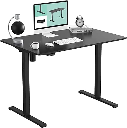 FLEXISPOT Standing Desk 