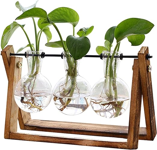 Plant Terrarium with Wooden Stand